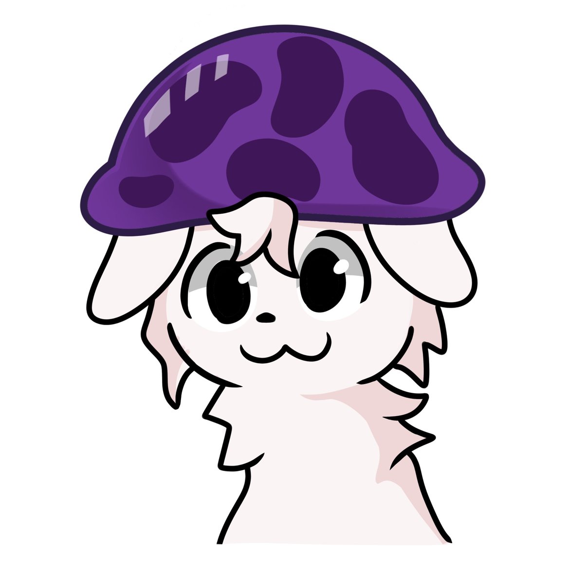 MonsterCoon🌙 tweet media