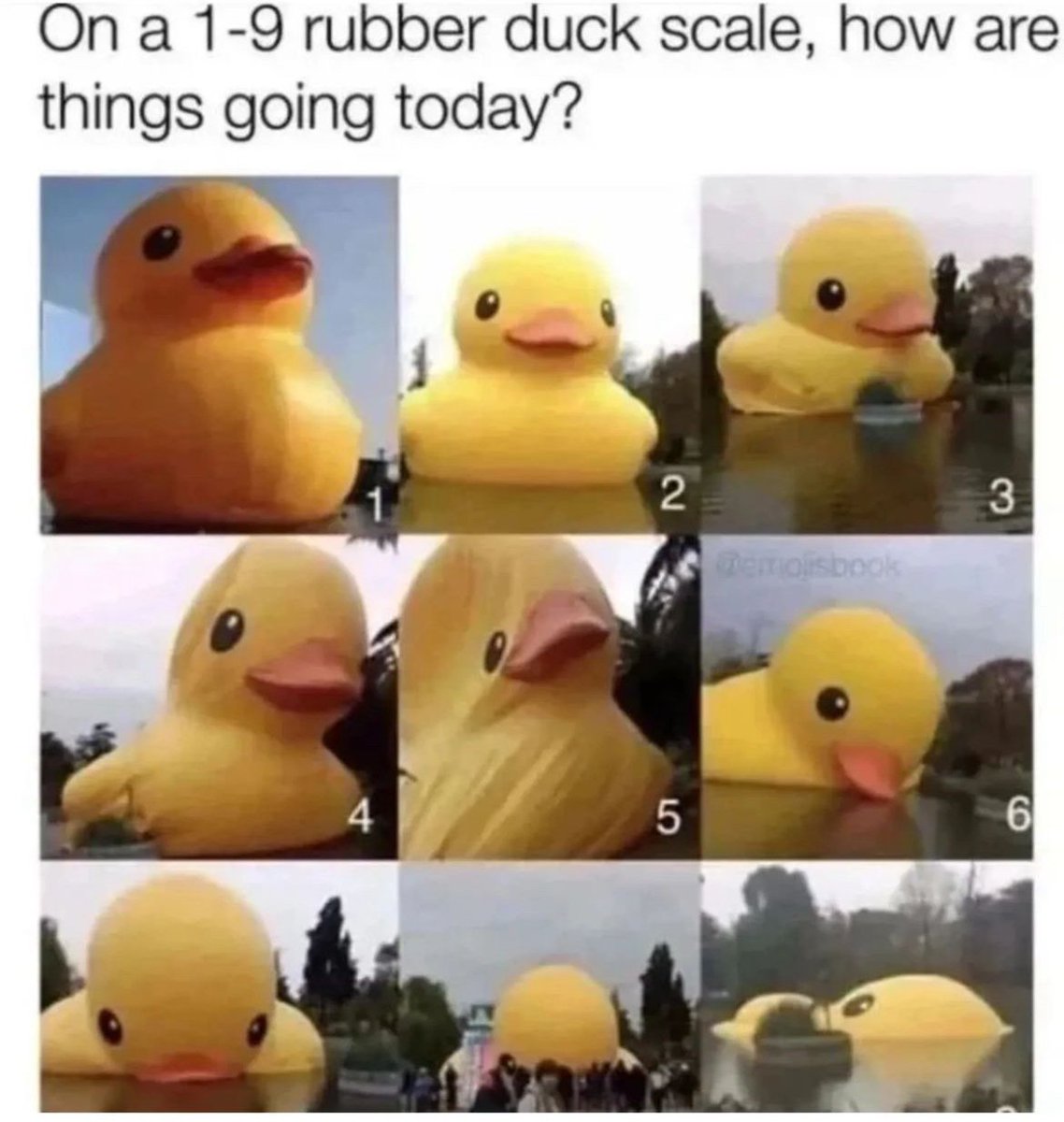 Wizardlythomasx's tweet image. 