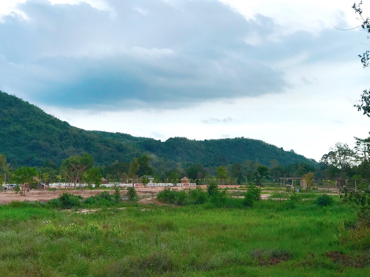tum3257's tweet photo. ที่ดินนครนายก   สระบุรี  โฉนด ครุฑเเดง  วิวเขา แปลงเล็ก เเปลงกลาง    ทำเลเยี่ยม   ดินดี  อากาศดี ปลอดมลพิษ  
สนใจ  สอบถามรายละเอียด ได้ นะครับที่
ID line honda325789
T 091-7737446
#นครนายก #วิวเขา #ราคาถูก https://t.co/KAZsWJROdG