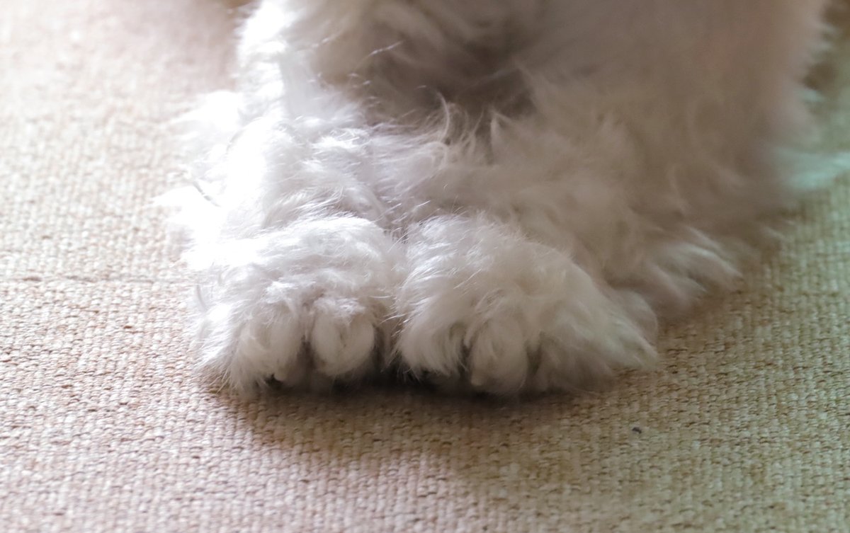 애니메이션에서 튀어나온 동구래미 아기 발