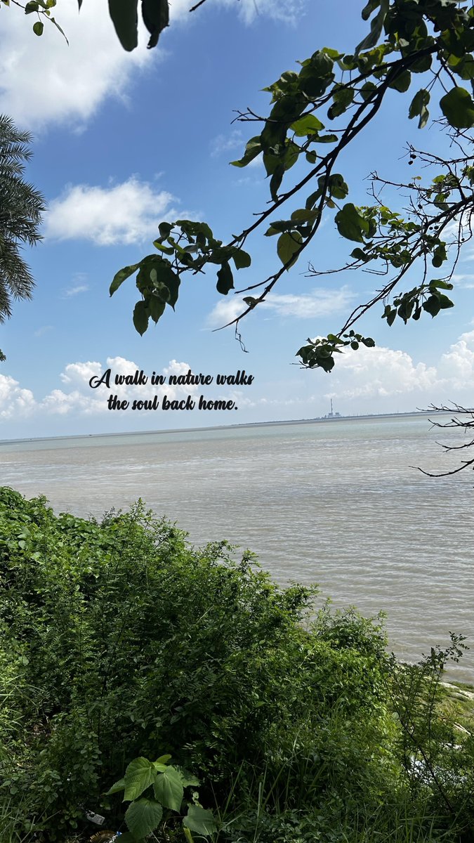 Navneet_1105's tweet photo. X - 277
A walk in nature walks the soul back home.
#Bharat
#TravelFreak
#SoloTraveller
#solotraveller❤️
#DiscoverLife
#Footlose_n_Free
#influencer https://t.co/sIKnwdxUjB