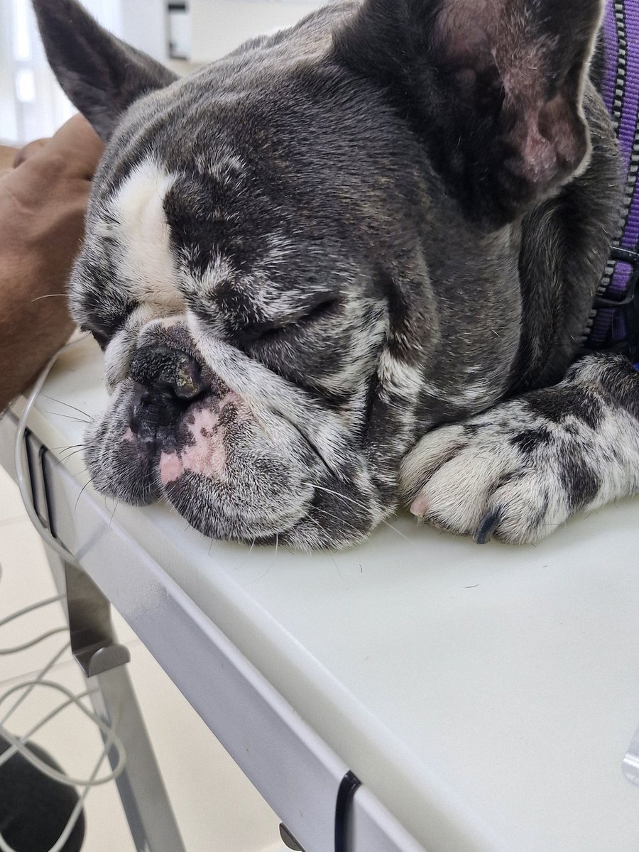 Двойная кастрация сегодня 🩺