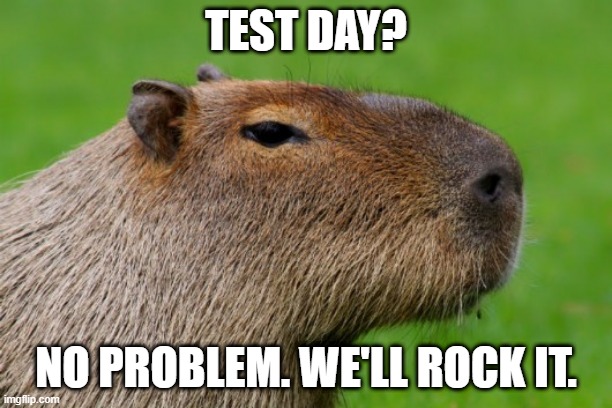 It’s internal testing day today, which only means one thing… WE ARE LAUNCHING SOON. Keep those notifications on, follow us on X and subscribe to our TG channel. You don’t want to be late on this!

TG: t.me/capybaranation

#CapybaraNation #TapTap #Clicker #Game #P2E #Airdrop