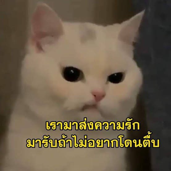 JRT_VINN's tweet photo. ( ขอเทสแอคก่อนแปะใบโคหน่อยค้าบพิ้ ) https://t.co/lJUhSGaZAA