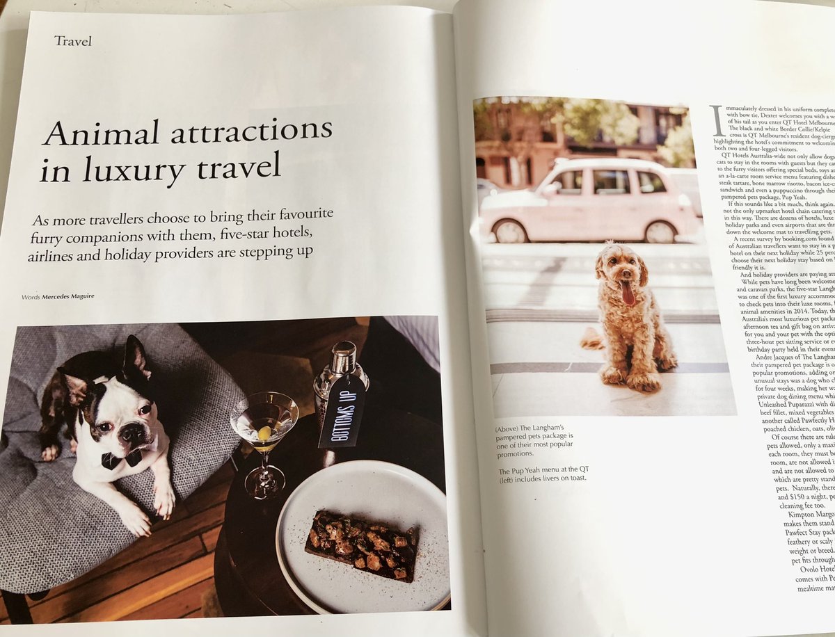 CJFentiman's tweet photo. Interview for a pet travel feature for #kanbridgequarterly travel with your pet 🐶 #petfriendly #travel #author #travelfeature #pethotel #petfriendlyhotel #petfriendlyaccommodation #petfriendlytravel #dogfriendly #dogfriendlyhotel #dogs #cats #pets #petlovers #petstagram https://t.co/n9kADxNVnc