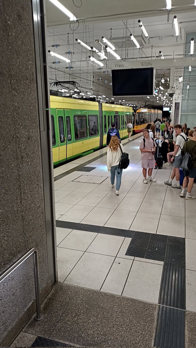 Tubertus and friends tweet media