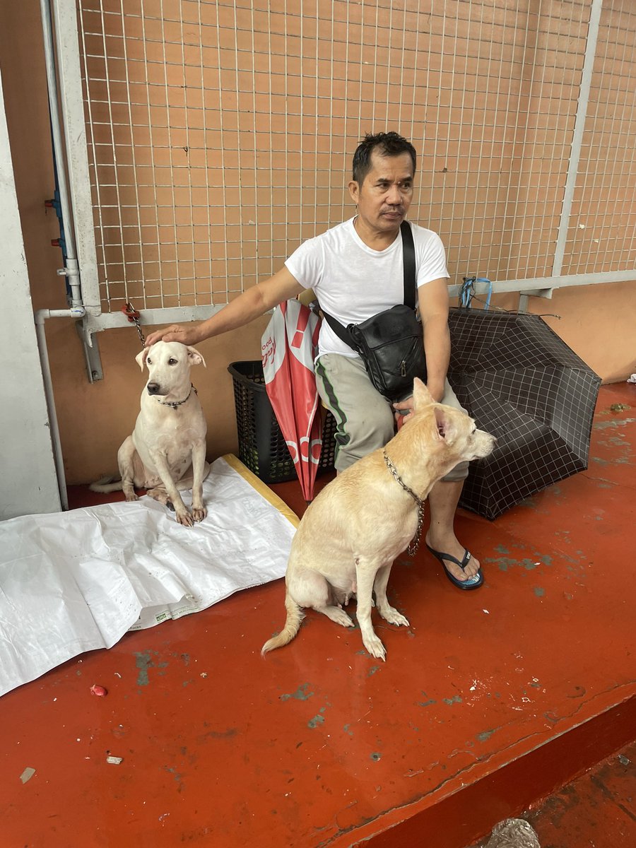 LOOK: Marikeños and their pets who evacuated to H. Bautista Elementary School from their flooded homes in Bgy. Tumana, Marikina City this Wednesday. | via <a href="/adrianayalin/">Adrian Ayalin</a> #CarinaPH #FloodPatrol