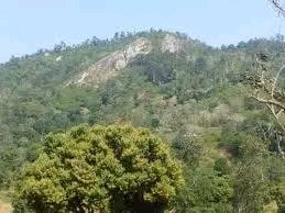 luther_181's tweet image. KUTANA NA MAZINGAOMBWE YA KABILA LA WAGWENO.😮👇

Wagweno ni kabila la watu wenye asili ya Kenya wanaoishi Tanzania katika Mkoa wa Kilimanjaro, upande wa Kaskazini wa Milima ya Ugweno.

Lugha yao ni Kigweno. Kiasili Wagweno ni katika jamii zilizotoka Uhabeshi ya kale na ndiyo…