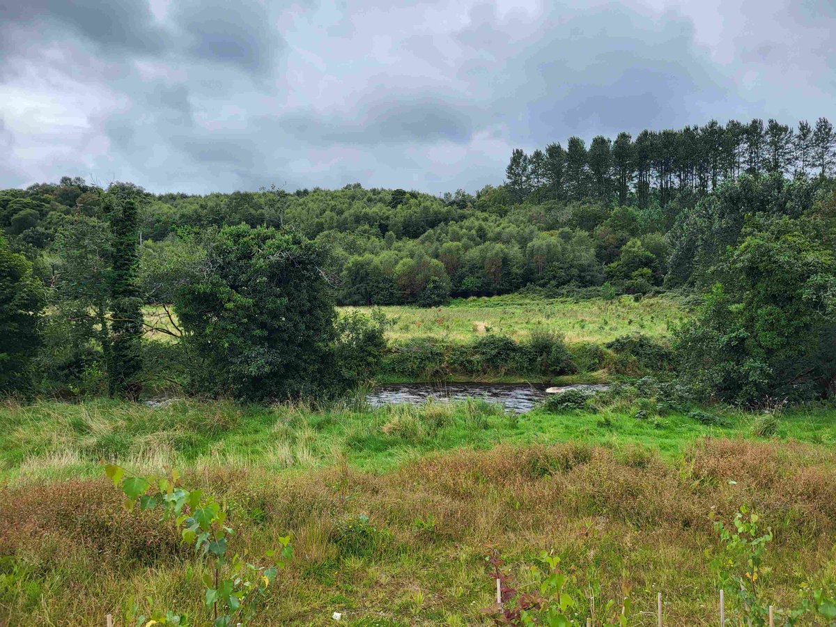 inishview's tweet photo. Views from Brackfield Woods near Derry.
https://t.co/u1WDxHMuIC
#Derry #WalledCity #LegenDerry #ExploreDerry #donegal #ireland #EmbraceAGiantSpirit #ireland #LoveDerry #LoveThisPlace #donegal #wildatlanticway #LoveDonegal #KeepDiscovering #visitdonegal #ireland #bestofnorthwest https://t.co/MYv7pVq296