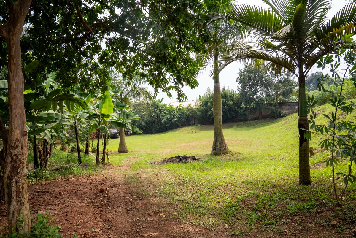 knightfrankug's tweet image. #BookAViewing of this land for sale in Kibiri - Kampala, with great access to the Munyonyo Expressway, a 40-minute drive to the airport, and about 30 minutes away from the city center.

For further information, please visit bit.ly/3zYtf0T or call us at +256 752 741 391