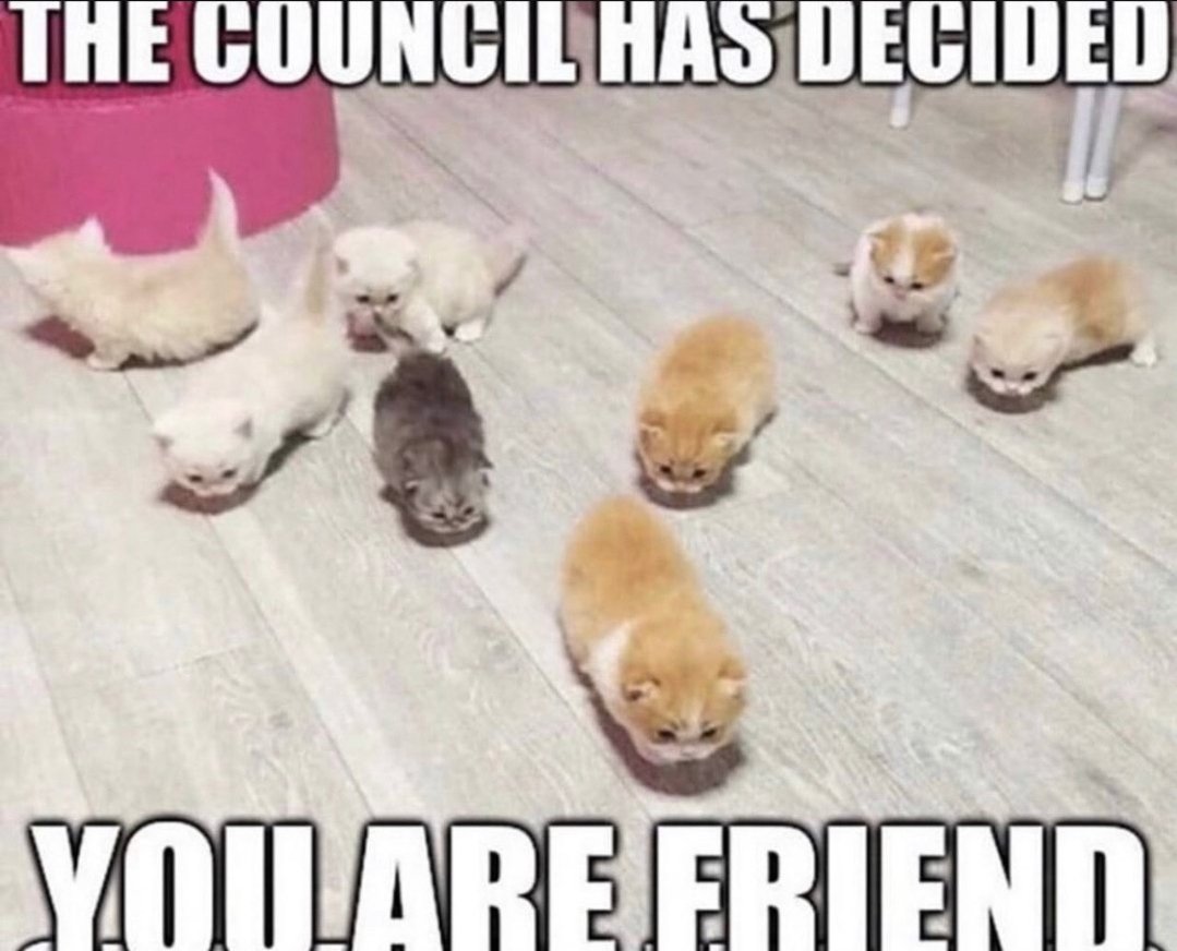 Catsillyness's tweet photo. You are friend https://t.co/lJXQ2IxWTn