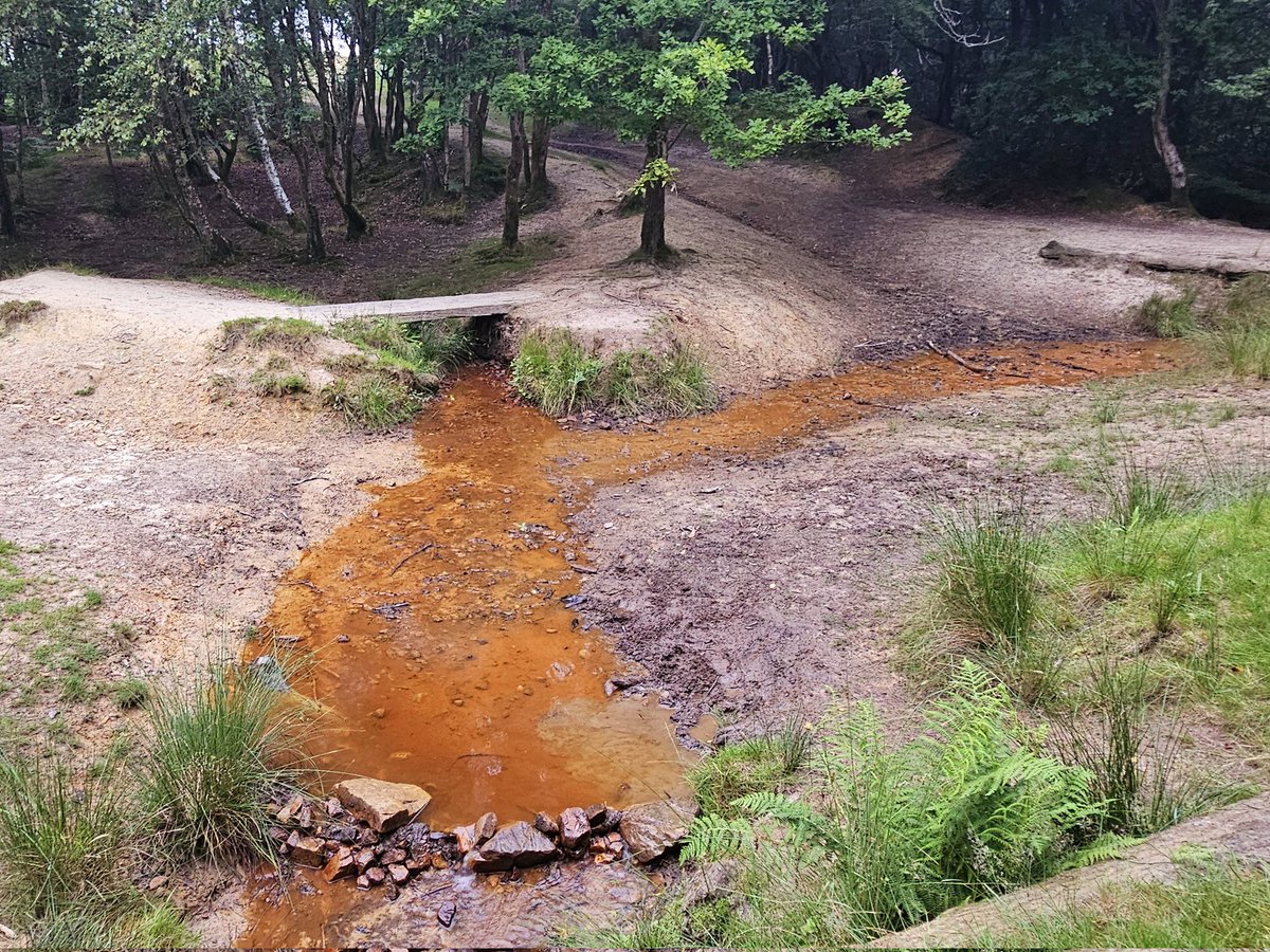 The stream that inspired Irn Bru