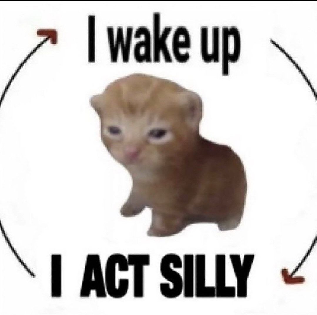 Catsillyness's tweet photo. Me https://t.co/5MuGQFCSKy