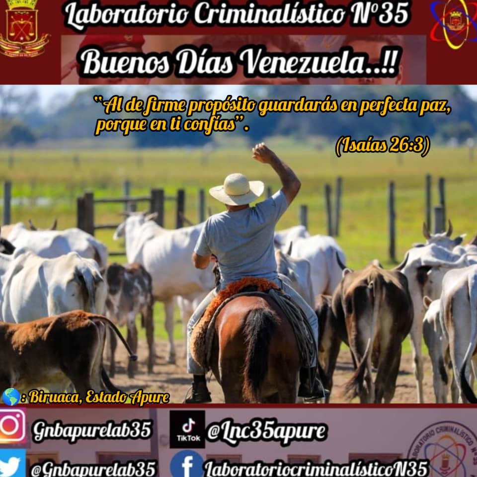 gnbapurelab35's tweet photo. #24Julio Buenos días Venezuela felíz y bendecido miércoles para todos.
@slcct_gnb 
@GnbGaranteDePaz
@ElioEstrada18 https://t.co/XWPeNqCP0T