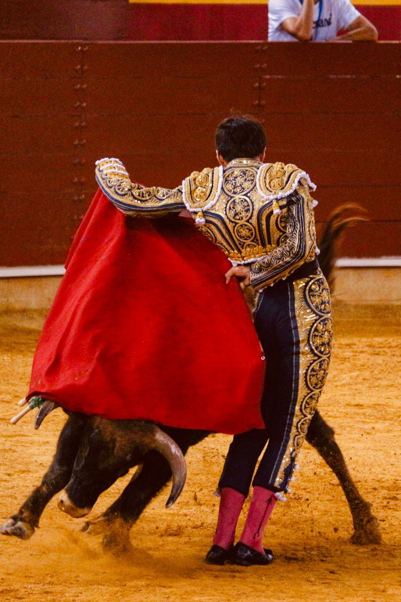☀️ | 𝗔𝗟𝗘𝗝𝗔𝗡𝗗𝗥𝗢 𝗥𝗨𝗕𝗜𝗢 brilló en Roquetas de Mar. Cuajó una excelente faena en una novillada con un gran ambiente. Tan solo el fallo con el acero le imposibilitó el abrir la Puerta Grande. 

¡Seguimos! 

📸: Fotografías Castle Photo. 

#escuelayiyo