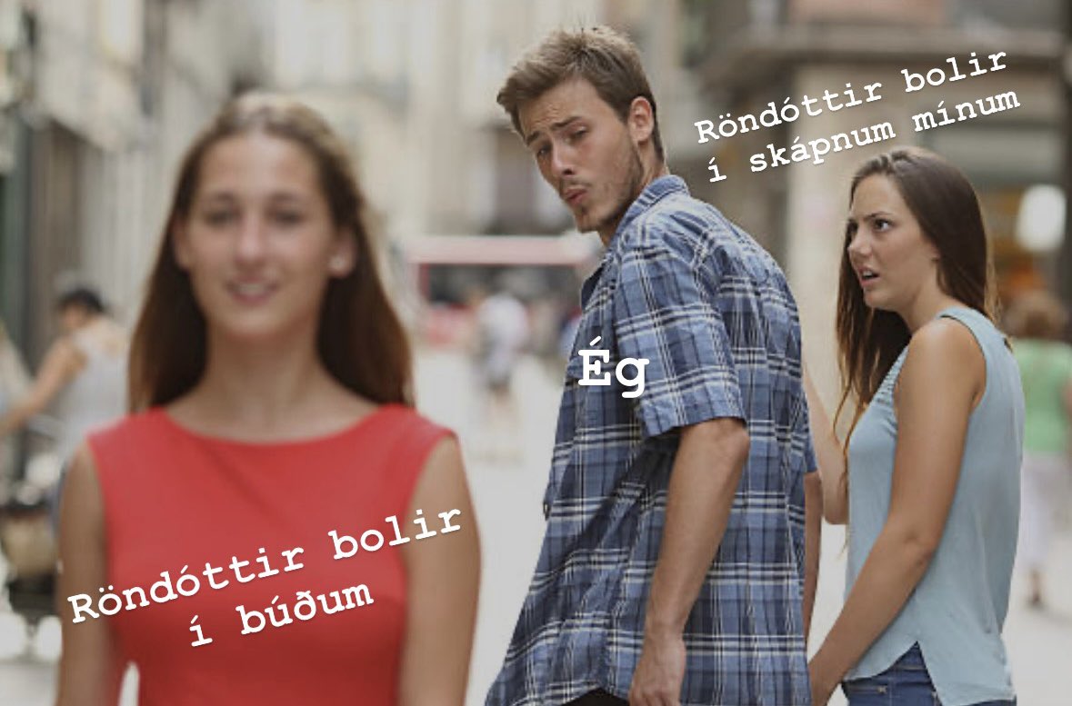 Birta Björnsdóttir (@birtabjoss) on Twitter photo 