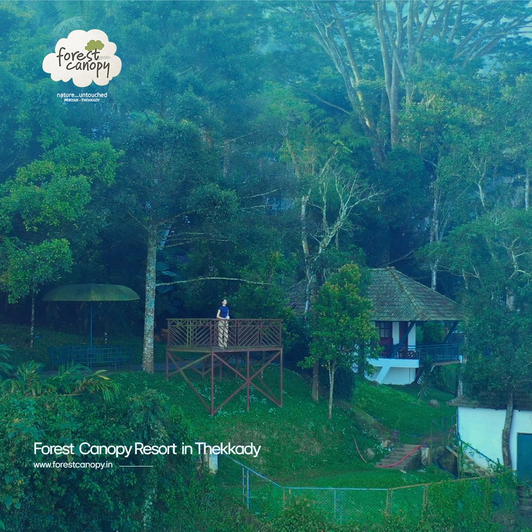 forest_canopy's tweet photo. https://t.co/LWw0NsbOCt
Surprise yourself with an unforgettable escape to the heart of the Perinay Thekkady rainforest at Forest Canopy Resort.  
#forestcanopythekkady #thekkady #kerala #incredibleindia #travel #ecotourism #naturelovers #luxurytravel #adventure #rainforest https://t.co/12pJMgLGcn