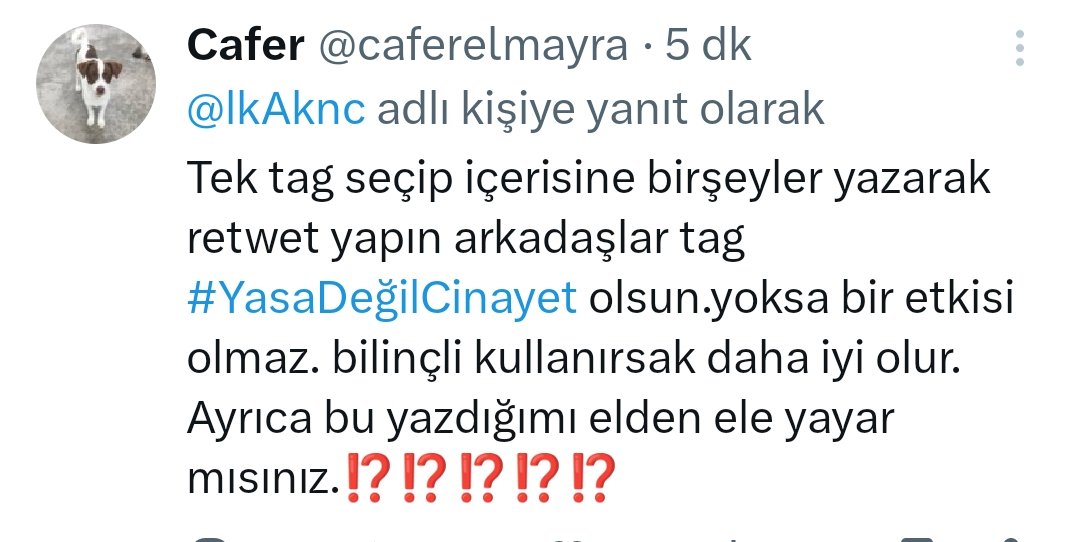 lkAknc's tweet photo. #YasaDeğilCinayet https://t.co/RM34032ZQQ