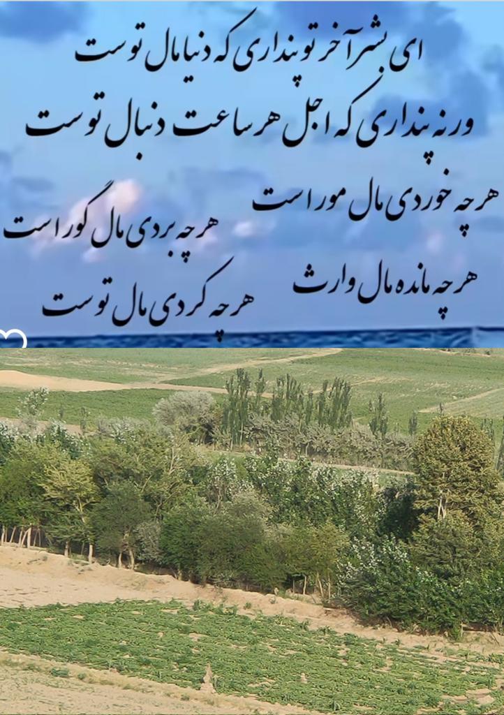 SalehEbadi2's tweet photo. https://t.co/IJp1h5P1sC