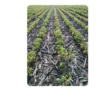 Dale Cowan CCA.On 4R NMS tweet media