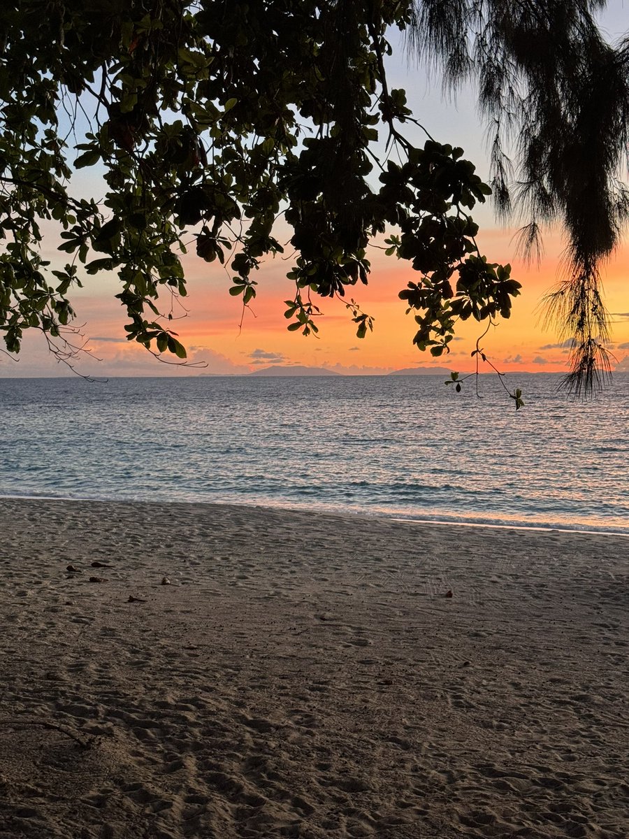 Madagascar. What magic did you touch my heart with?