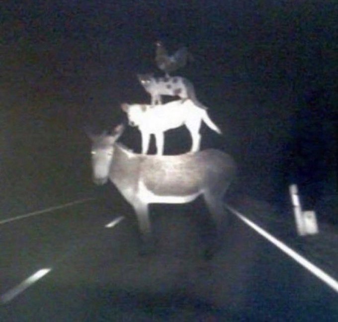 Bruder ich fahre nie wieder nach Bremen