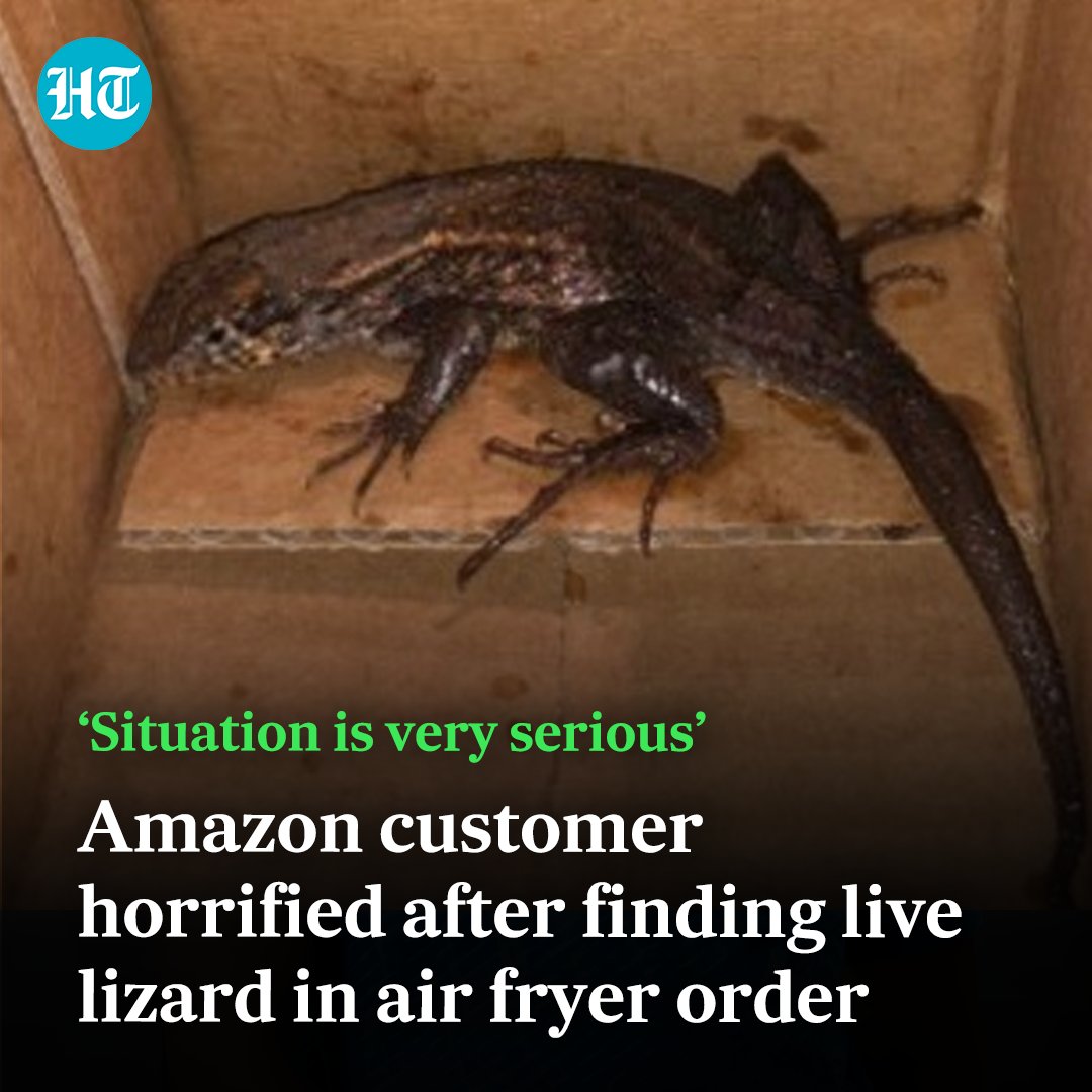 htTweets's tweet photo. Woman left shocked after receiving parcel from #Amazon
Read more 🔗 https://t.co/nMOcJ9P4ws
#AmazonPackage #ECommerce #OnlineShopping #Viral #Trending https://t.co/KcHkYsbBwS