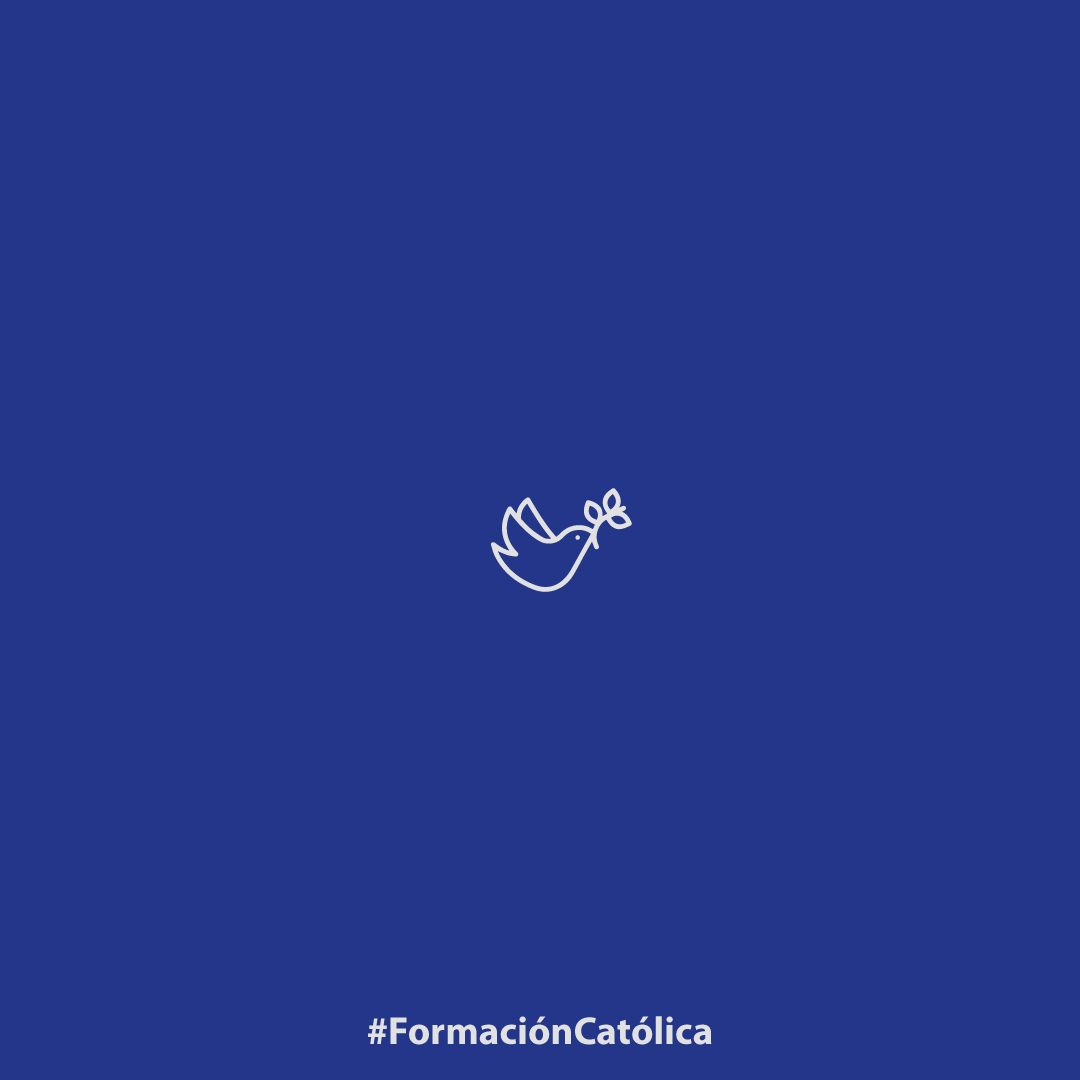 ColegiosRC tweet media