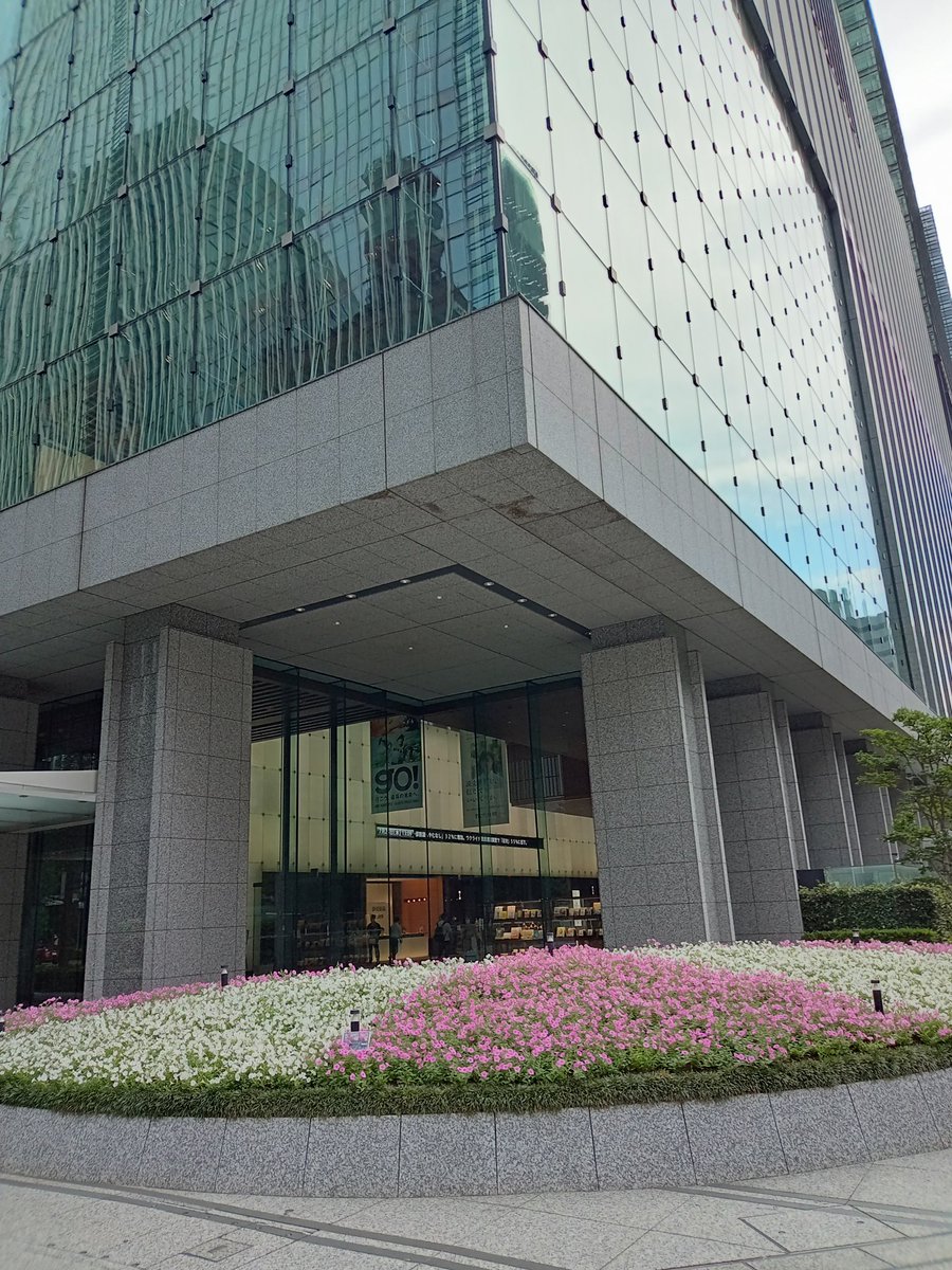 dtomoABCZ's tweet image. よみうり大手町ホール前の花壇
初日と比べてみました!
ピンクと白のペチュニア咲いてる😊
めちゃめちゃキレイでした✨
写真1枚目初日7/18
写真2枚目7/20
写真3枚目本日7/24
#SLEUTH
#スルース
#よみうり大手町ホール
#戸塚祥太