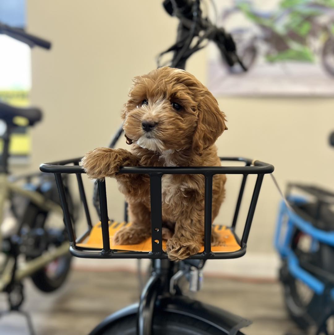 Georgian Bay Recreation tweet media