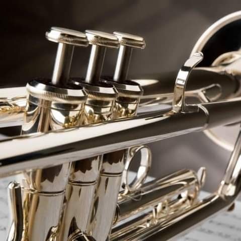 ancanus's tweet image. #NuevaFotoDePerfil