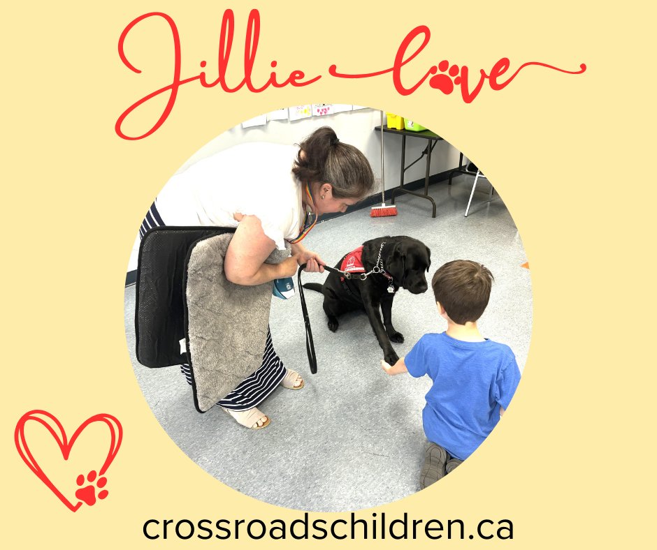 CrossroadCentre's tweet photo. Our facility support dog Jillie visits our day camp often. She is an expert at reducing anxiety and stress. #CampFun https://t.co/8aNhw4UmcB