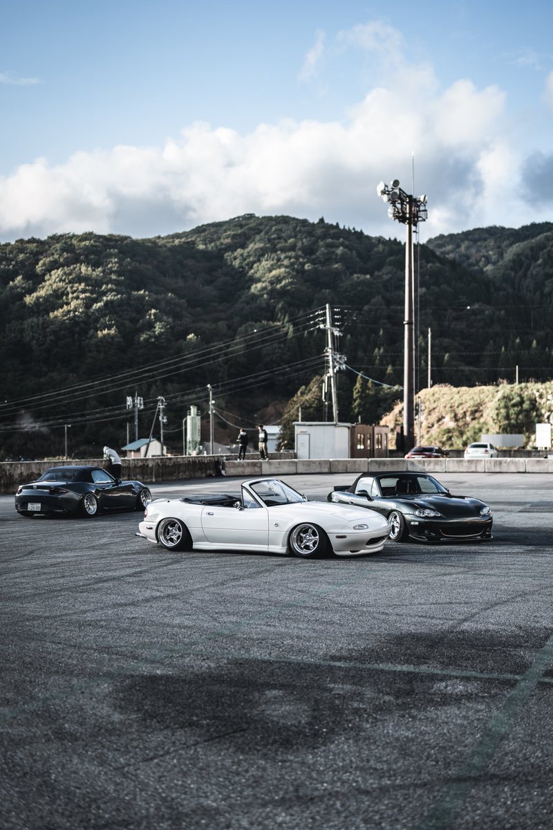 油性 tweet media