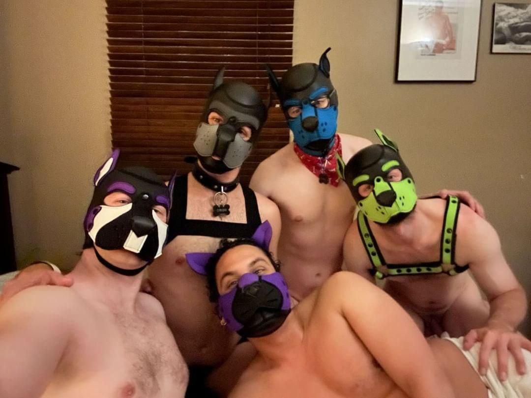 Pup Oriøn 🩶 tweet media