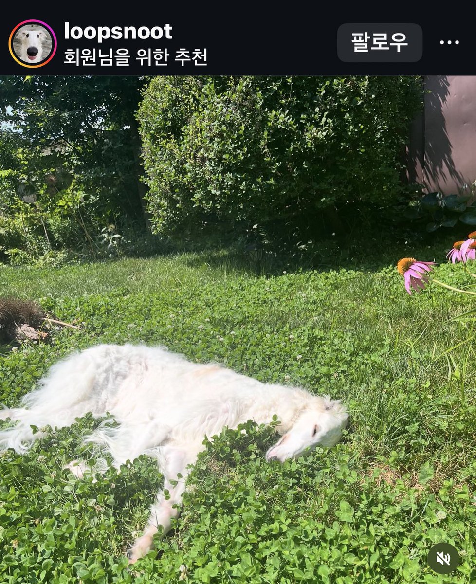 필륵스 이만큼 얇음