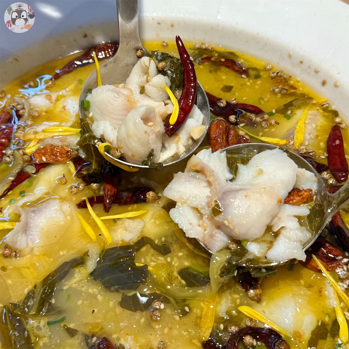 foodblogbkk's tweet photo. มูฟออนจากร้านนี้ไม่ได้เลยย อร่อยมากอยากกินทุกวัน🥹 ปลาต้มผักกาดดอง ชามโคตรใหญ่แบบกาละมัง ซุปจะออกเผ็ดชา มีความเปรี้ยวจากผักกาดดองเบาๆ ซดได้เพลินๆ😋 อีกเมนูที่ต้องสั่งคือเส้นบุกเสฉวน ออกกรึบๆ อร่อยยย! ร้าน Taier, CTW ชั้น 7 @aroii https://t.co/wJxQLNhH4a