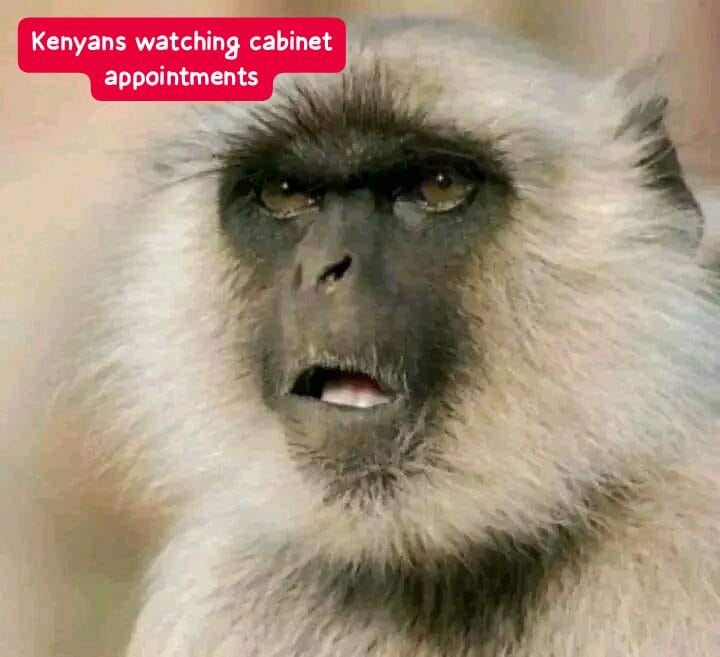 Really is it a cabinet of former governors