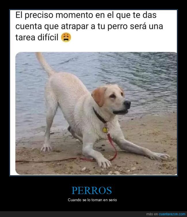 cuantarazon's tweet photo. Motivación a tope https://t.co/P0xmyCwIpp https://t.co/cDY2QO1VKr