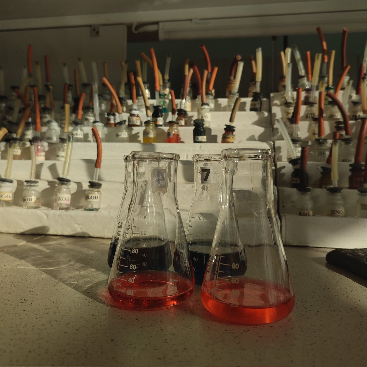 d0rikk's tweet photo. Hi, I want to start my #studytwt 

There're a few shots from my 1st year at the Faculty of Biology 🌱

¹ a small piece of research to create beer 🍺
² experiments at the chemistry department 🧪
³ anatomy audience 🦴

#studytwtph #공부계트친소 #archivetwt
♡  or  ↺  to be moots! https://t.co/RGm4CwXaWu