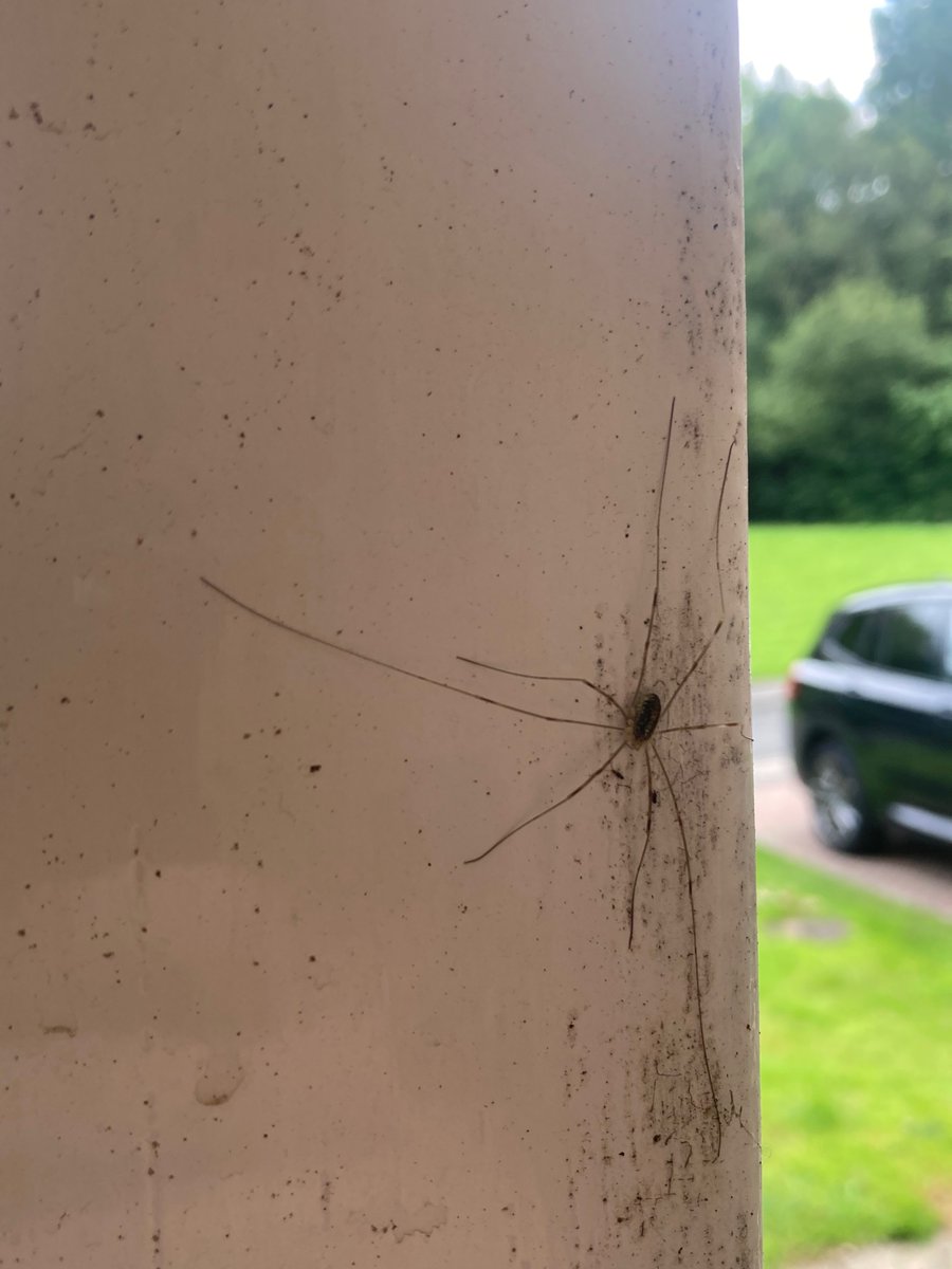 Grubbing In The Filth tweet media