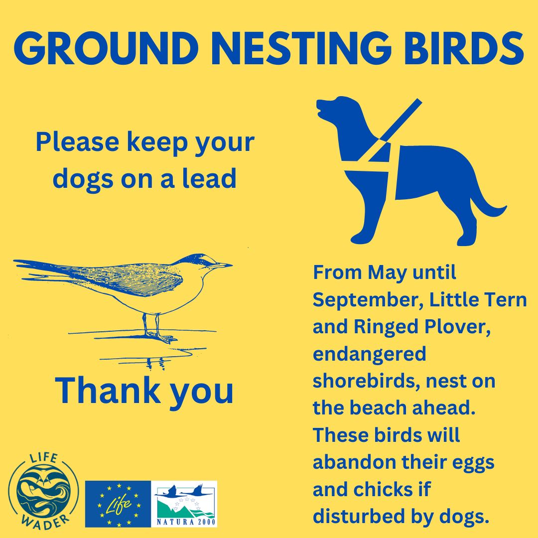 Lindisfarne NNR tweet media