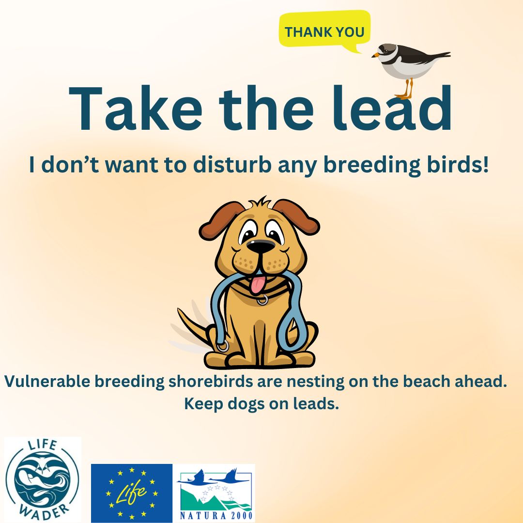 Lindisfarne NNR tweet media