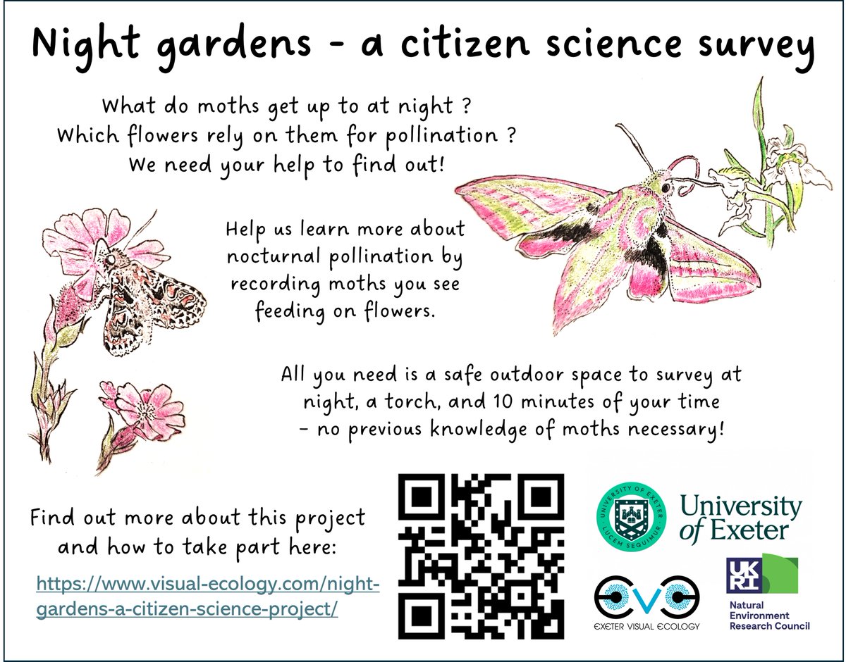 If you're enjoying <a href="/savebutterflies/">Butterfly Conservation 🦋</a> 's #BigButterflyCount, don't forget the #moths flying at night! See if you can spot any visiting flowers in your garden, and help us learn about nocturnal pollinators! Take part here: visual-ecology.com/night-gardens-… #mothsmatter