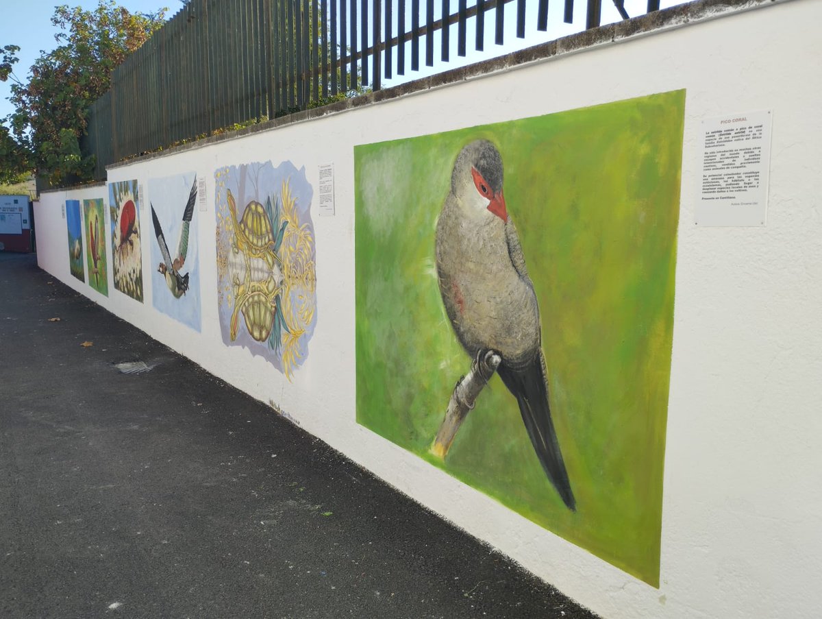 CSICAndalExtrem's tweet image. El @ateneo_canti presenta el proyecto artístico y divulgativo 'Nuestra fauna está en los muros'

Esta iniciativa se inspira en el proyecto #EXIA (@SUMHAL_CSIC), de la Delegación del CSIC en Andalucía, mostrando especies invasoras que destacan por su belleza y color

¡Gracias!