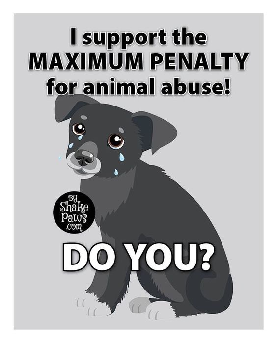 Beyond The Leash tweet media