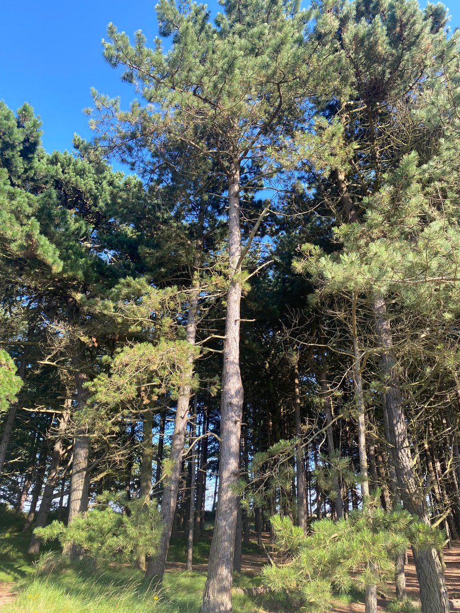 Our last survey on Protected areas and People for the <a href="/FIDELIO_ERC/">FIDELIO</a>  project is now out. Postcards have been sent to 8000 households in the U.K. We look forward receiving your responses. Survey is accessible here: Warwick.ac.uk/fidelio/pnpa