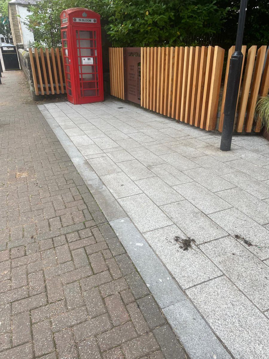 Milngavie tweet media