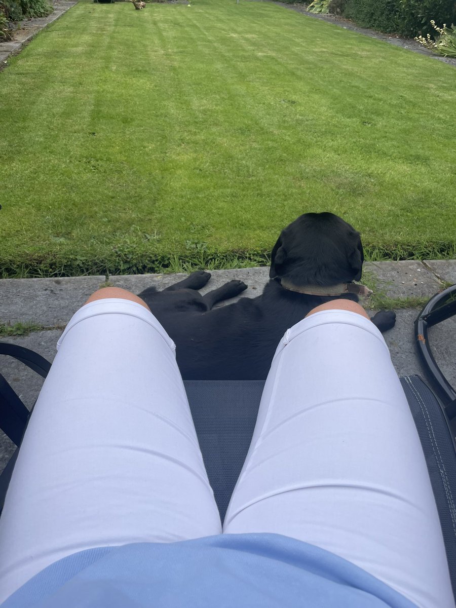 ⚓️ Dr Vic Carr ⚓️ tweet media