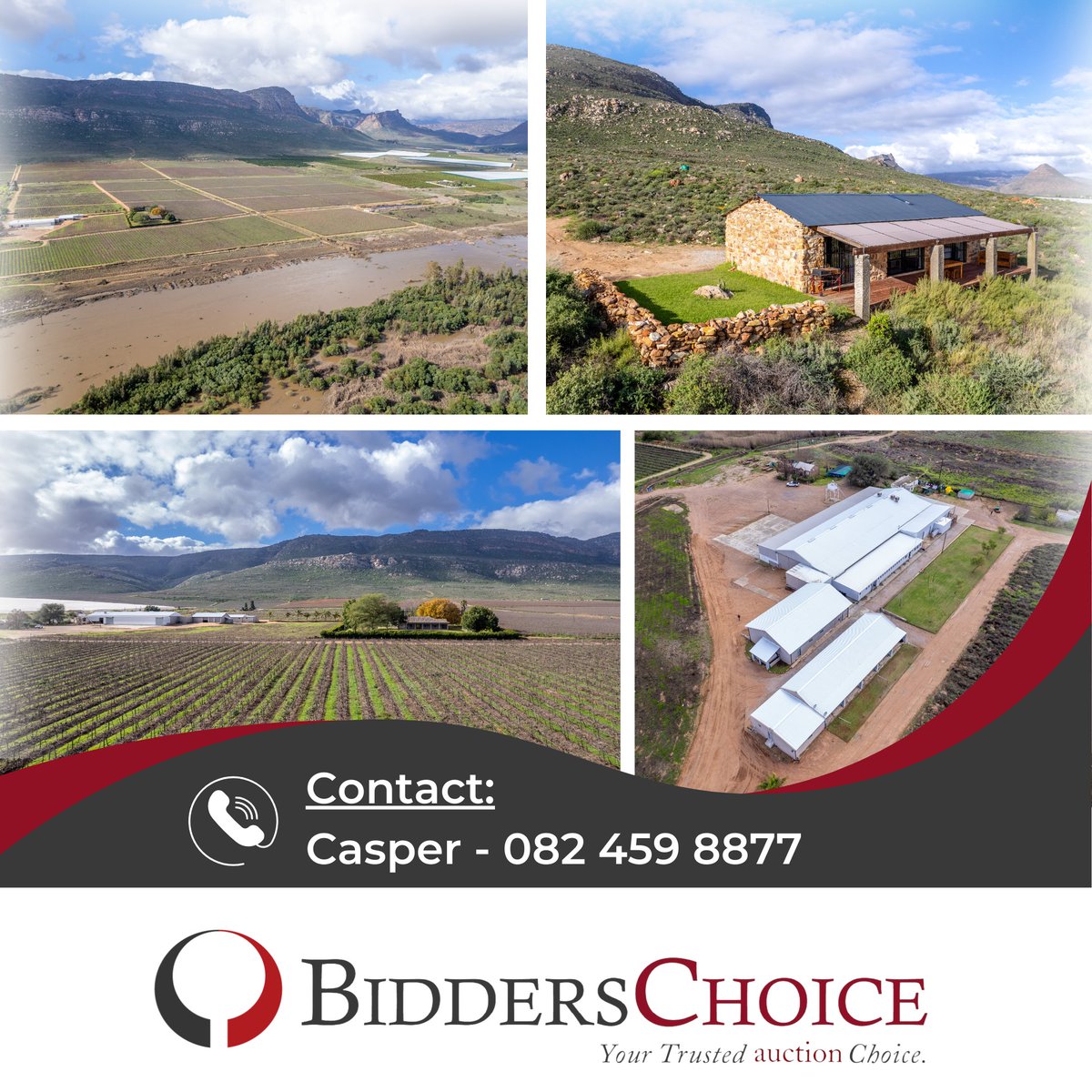 BiddersG's tweet photo. Table Grape Farm With Water Rights On Auction In Clanwilliam

Darcadia Farms (Pty) Ltd (In Business Rescue)

❗ Closing: 31 July 2024 from 11:00

Casper - 082 459 8877

🔗 https://t.co/YAL51c3zKt

#auction #farm #grapefarm #winefarm #agriculture #winefarms #WineRoute #westcoast https://t.co/GAGzDUuFlK