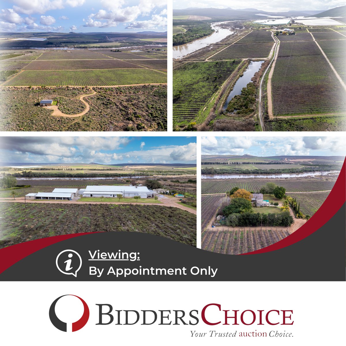 BiddersG's tweet photo. Table Grape Farm With Water Rights On Auction In Clanwilliam

Darcadia Farms (Pty) Ltd (In Business Rescue)

❗ Closing: 31 July 2024 from 11:00

Casper - 082 459 8877

🔗 https://t.co/YAL51c3zKt

#auction #farm #grapefarm #winefarm #agriculture #winefarms #WineRoute #westcoast https://t.co/GAGzDUuFlK